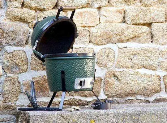 Biggreenegg Mini